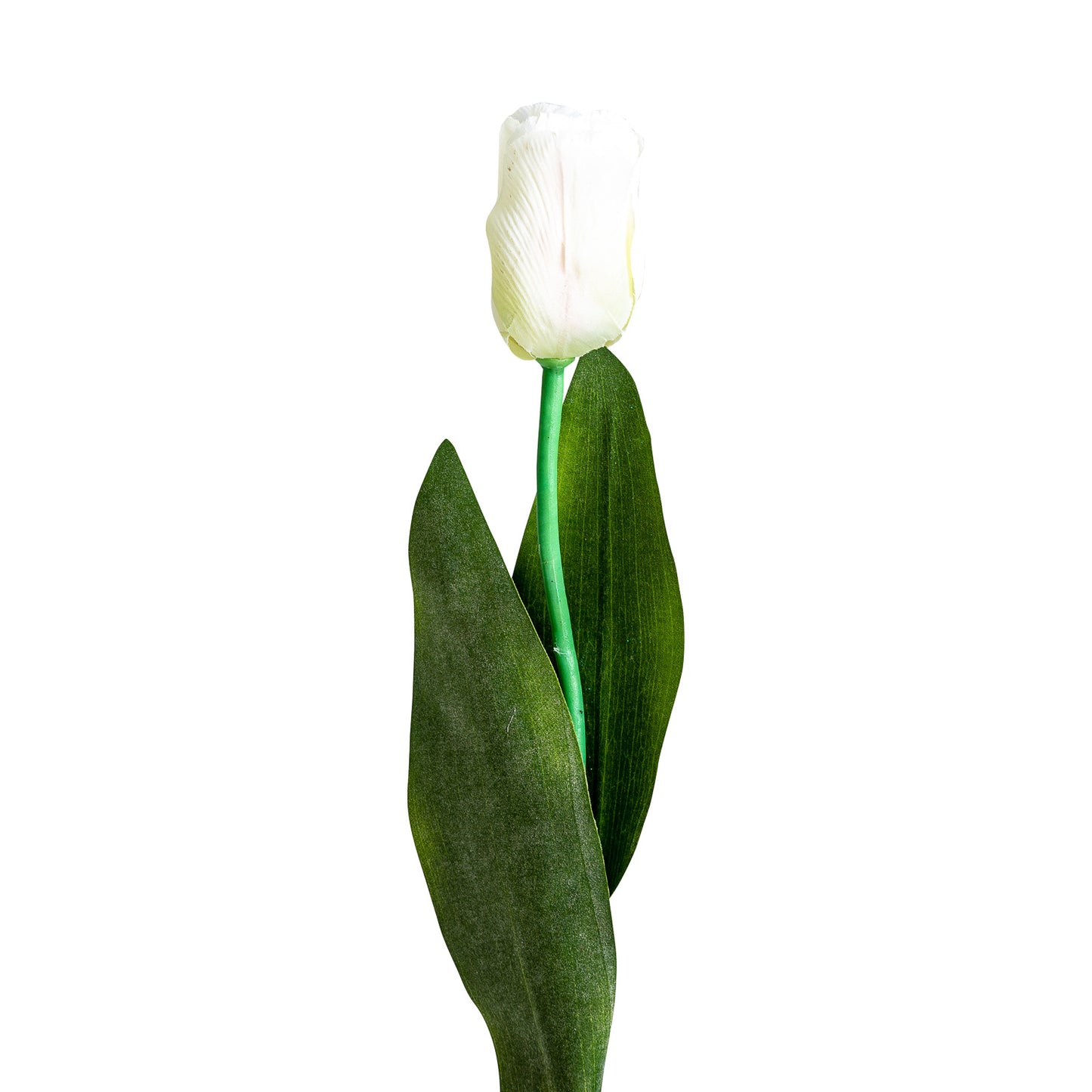 Tulpenbloem Wit 0x0x64 cm