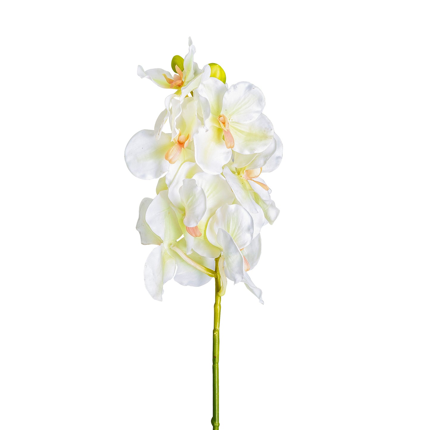 Azahar Bloem Wit 1x1x76 cm