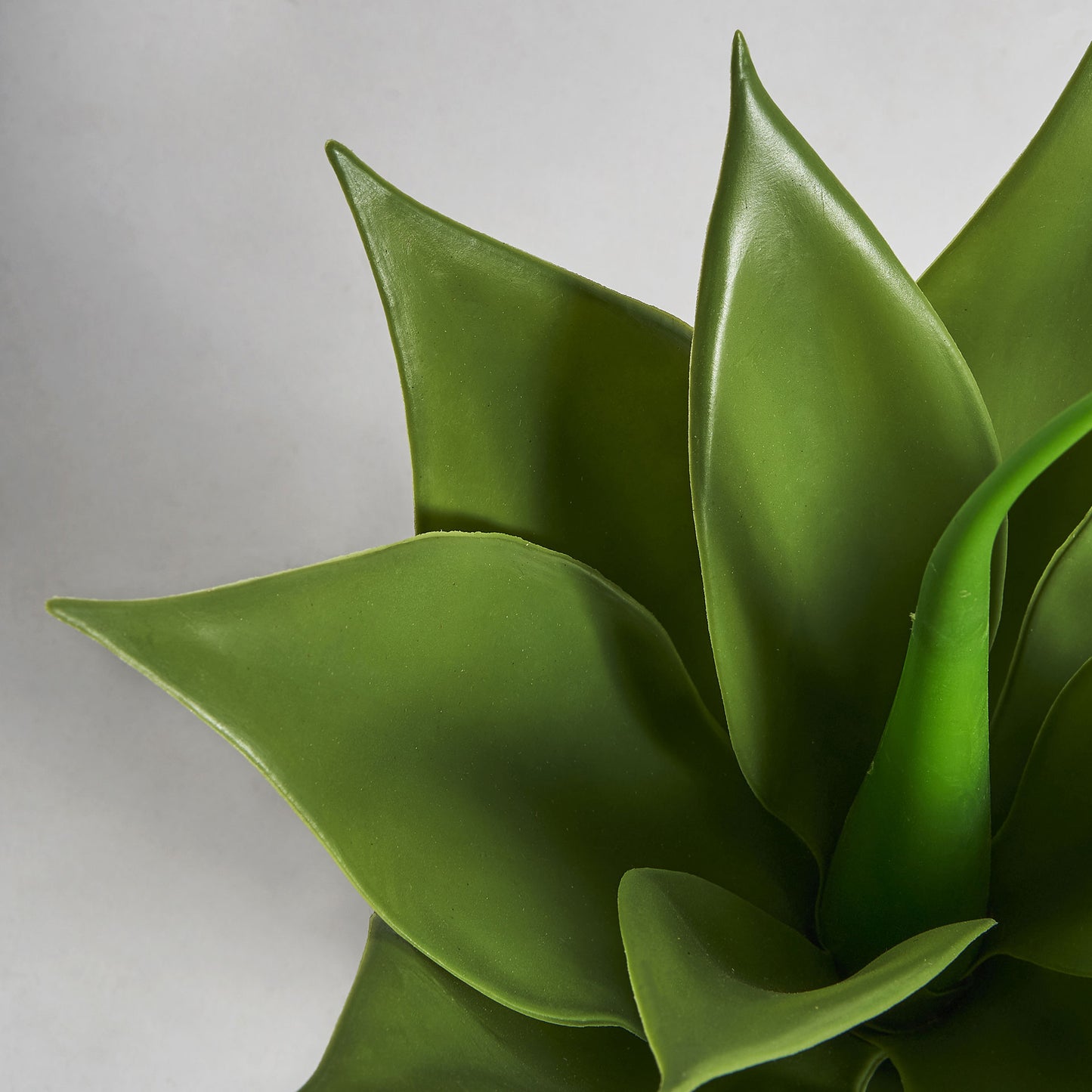 Lotus Plant Koloniale Stijl 26x26x45 cm