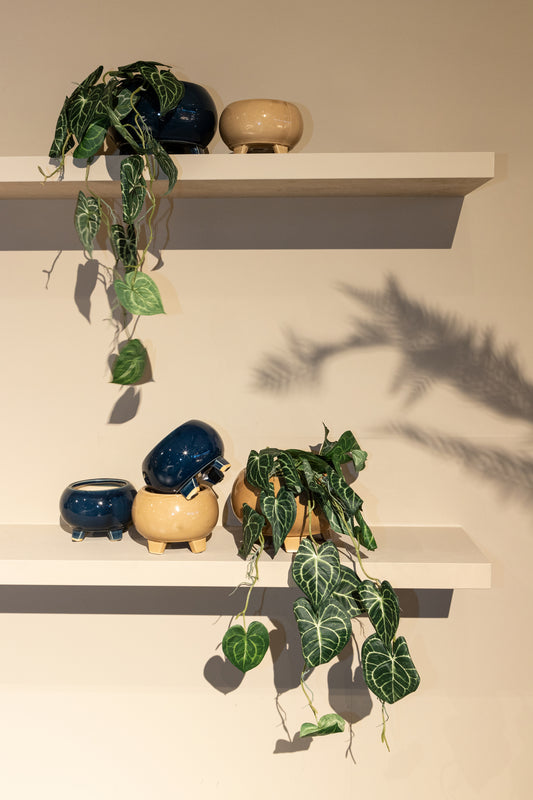 Moxxi Cream Ceramic Pot Bowl On Three Feet Round L