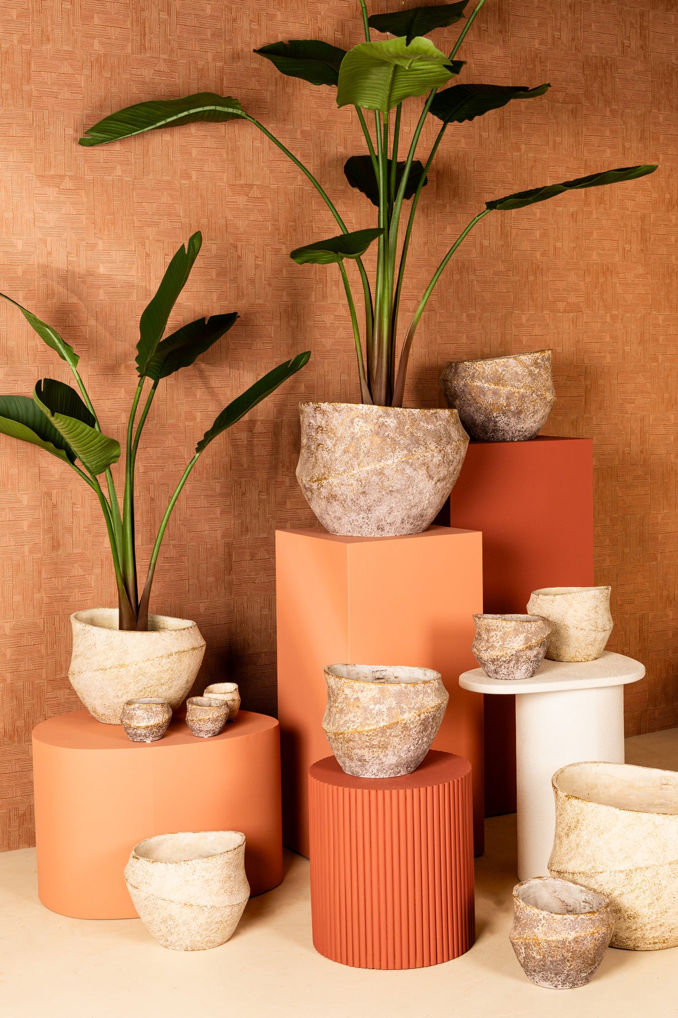 Rishell Bronze Cement Round Pot With Line Big S