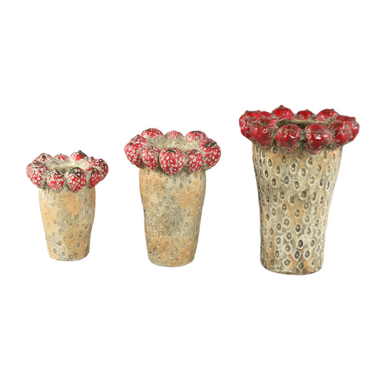 Fruitsy Red Round Terra Pot Strawberries High L