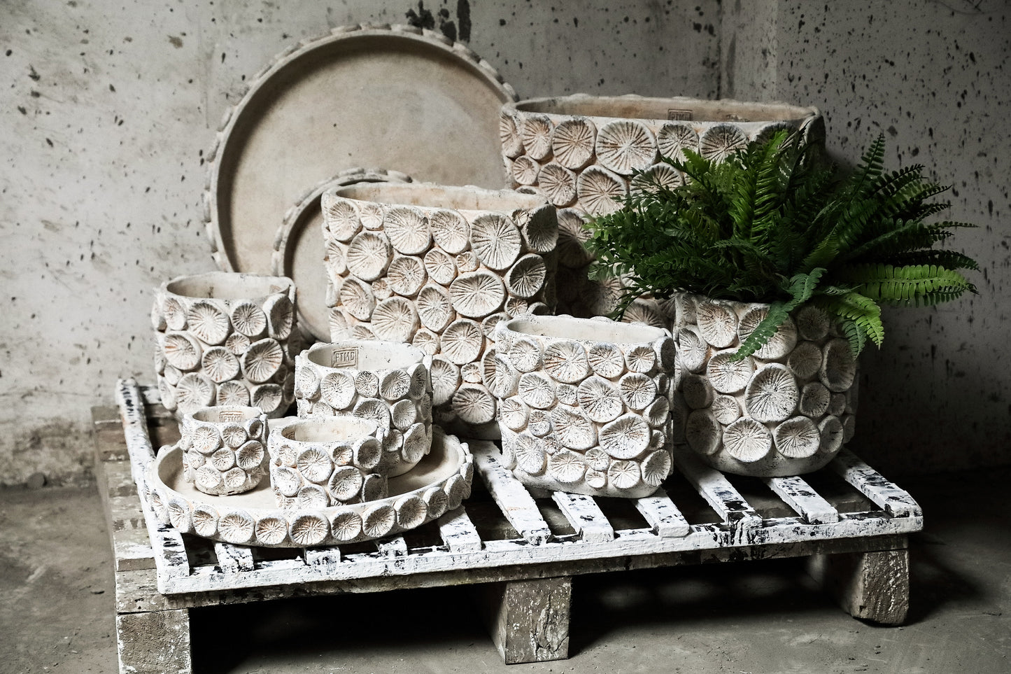 Ayisy Cream Oval Cement Pot With Coral M