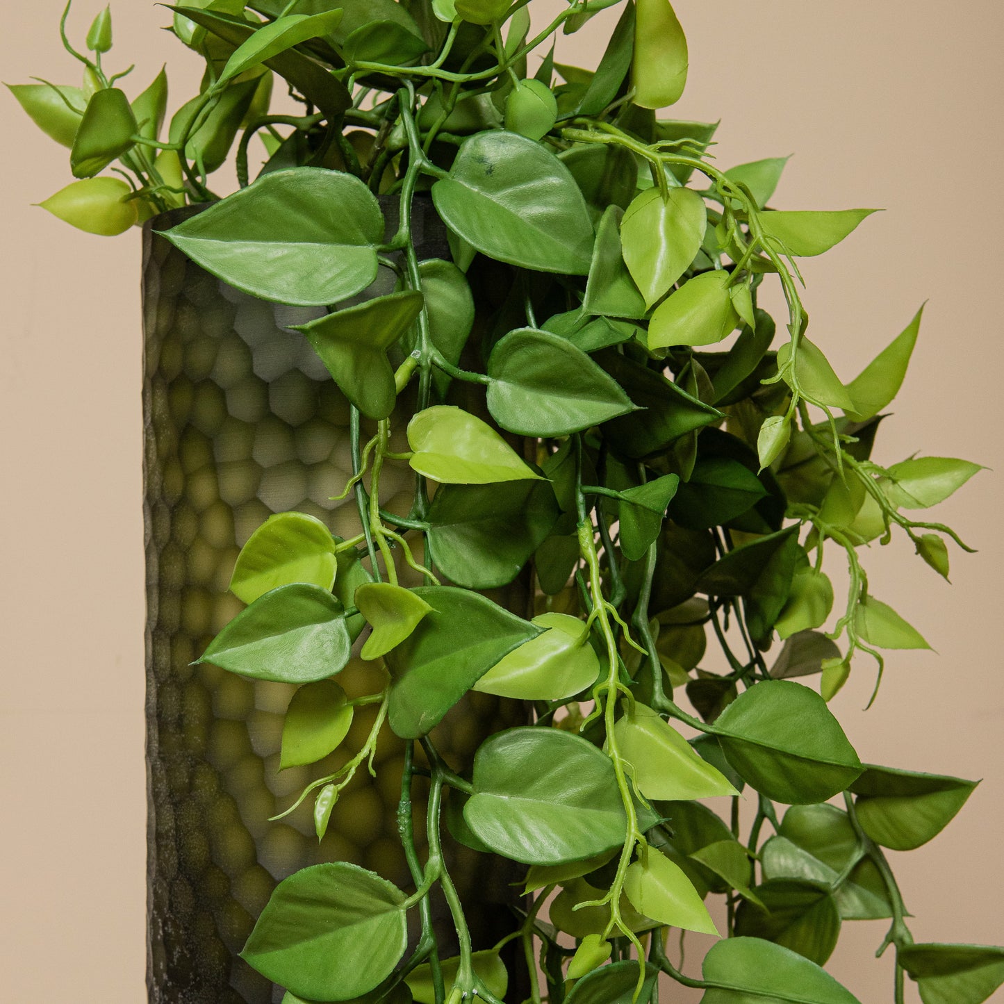Leaves Plant Mos Groen Money Plant Hangend - Set van 12 119x104x30.5 cm