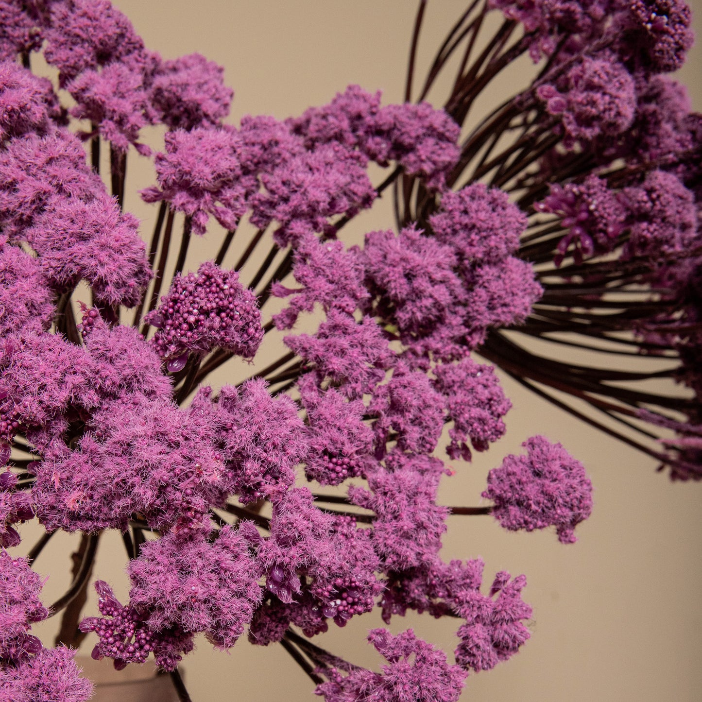 Twig Plant Paarse Angelica Spray Set van 4 Stuks 87x15x40 cm