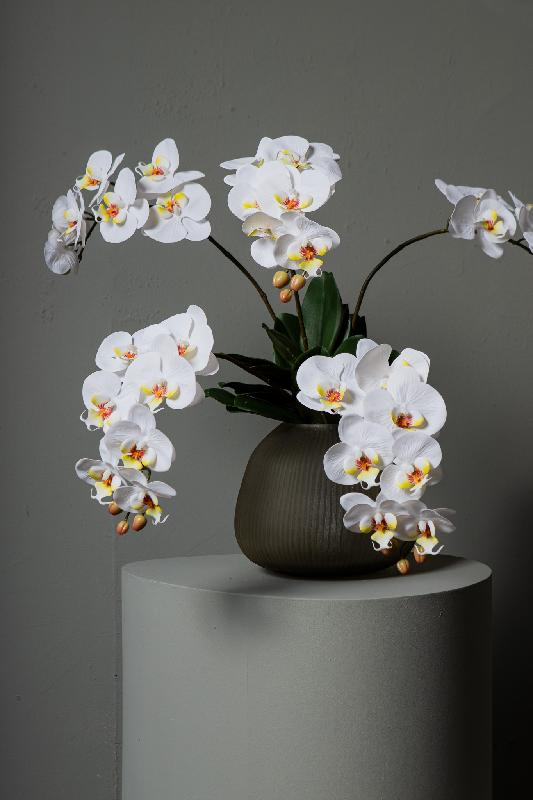 Orchidee Bloem Wit Phalaenopsis Spray Met Bladeren - Set van 12 78x28x17 cm