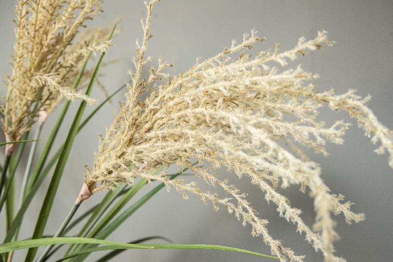 Grass Plant Natuurlijk Hangende Pampasgras Spray L - Set van 12 Stuks 128x84x50 cm