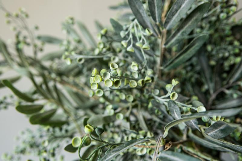 Leaves Plant Donkergroene Eucalyptus Spray Set van 12 Stuks 70x48x36 cm