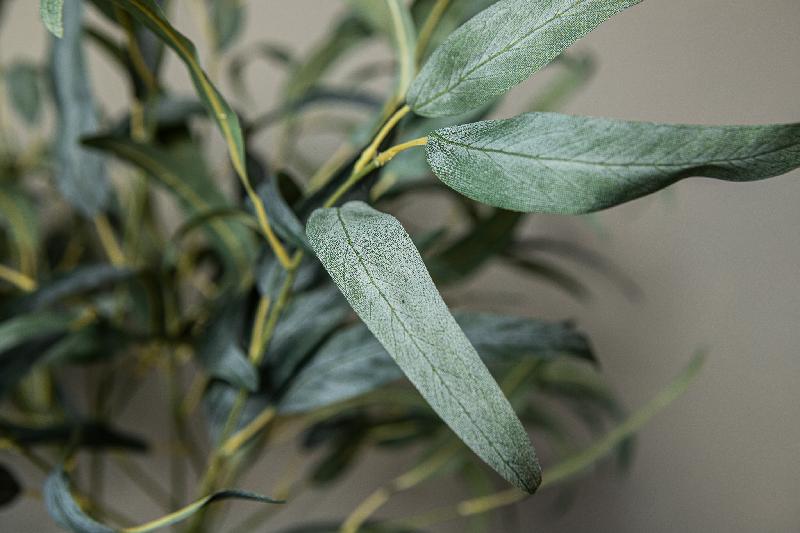 Leaves Plant Donkergroen Lang Eucalyptus Spray Set van 12 Stuks 93x50x33 cm