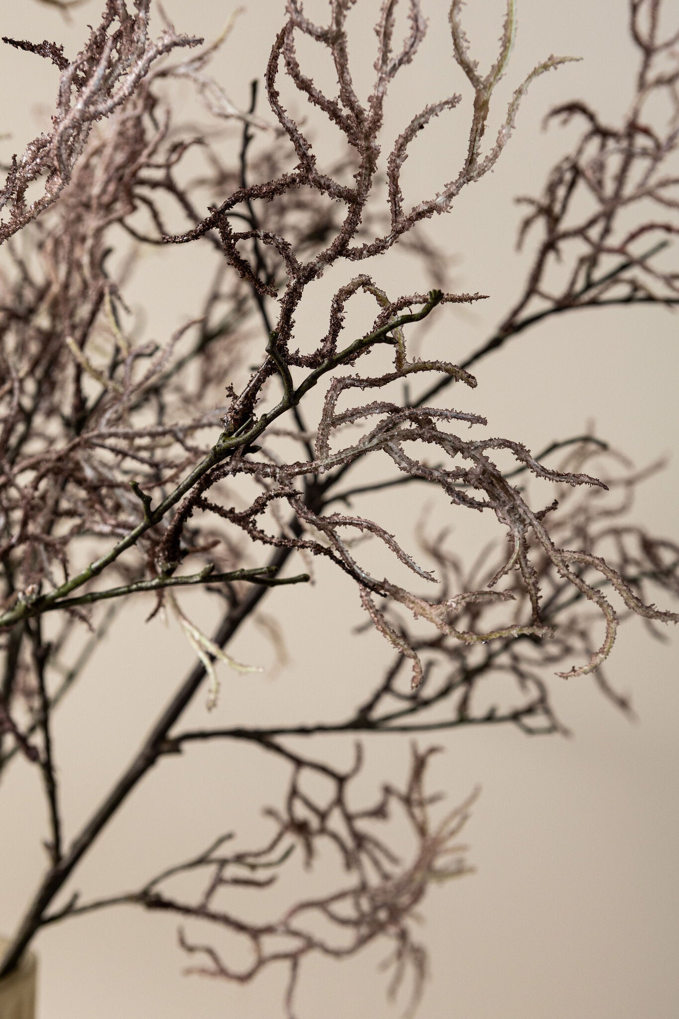 Twig Plant Paarse Coral Spray Set van 12 Stuks 108x38x8 cm