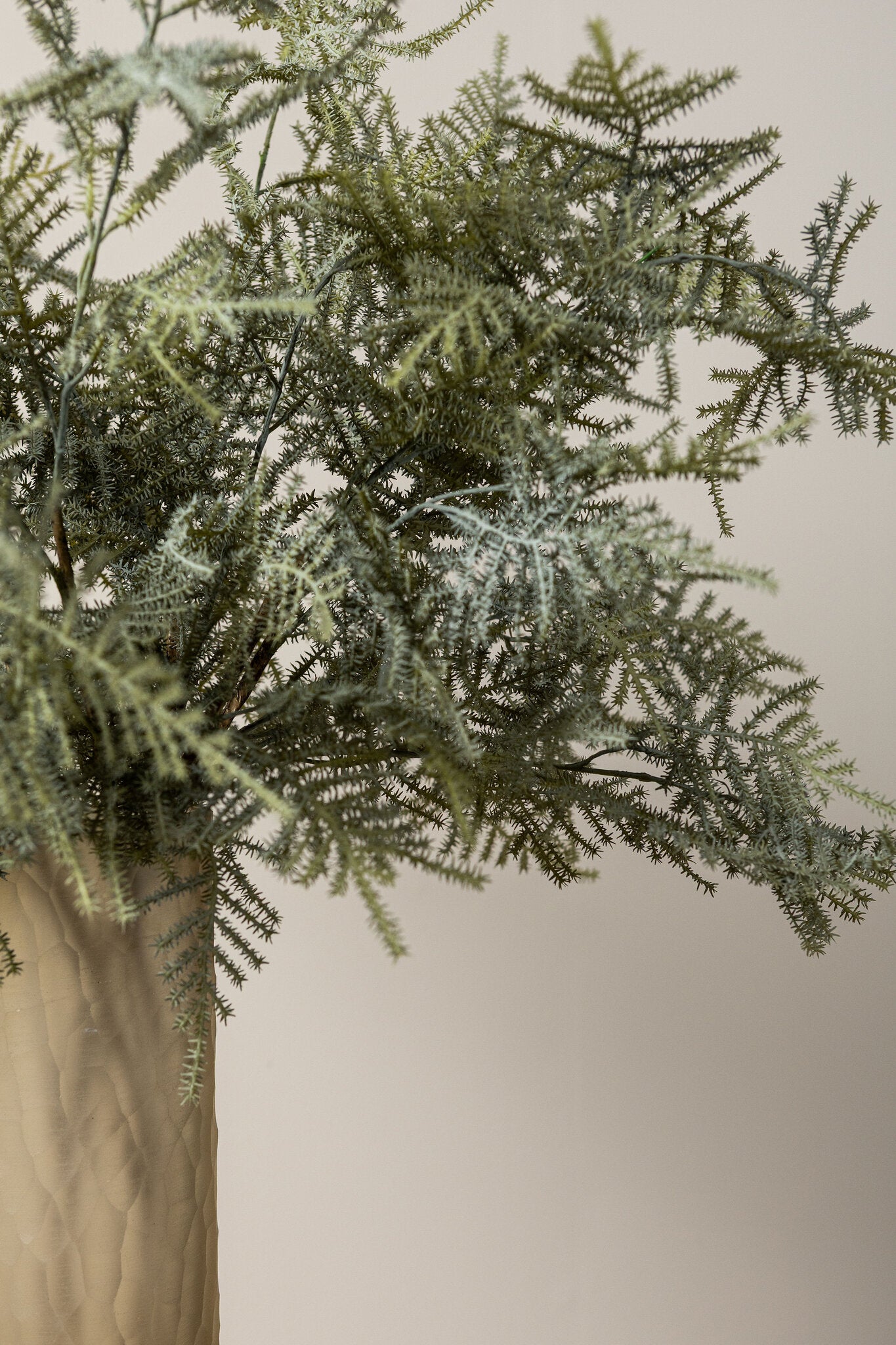 Fern Plant Donkergroen Asperge Fern Spray - Set van 12 75x45x30 cm