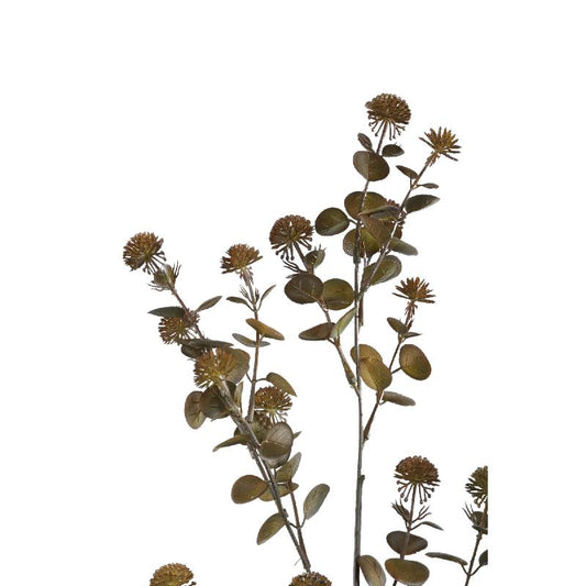 Leaves Plant Groen Eucalyptus Spray Met Vruchten - Set van 12 87x50x30 cm