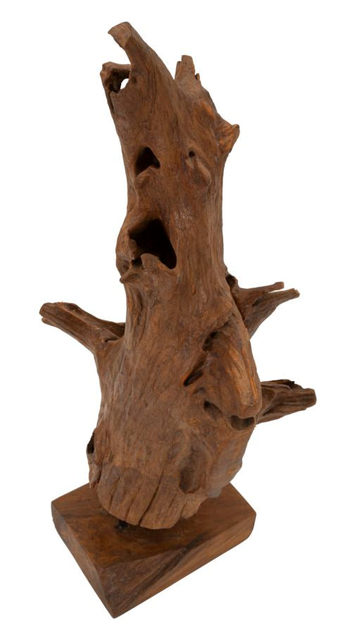Akar Sculptuur Teak 64x23x27 cm