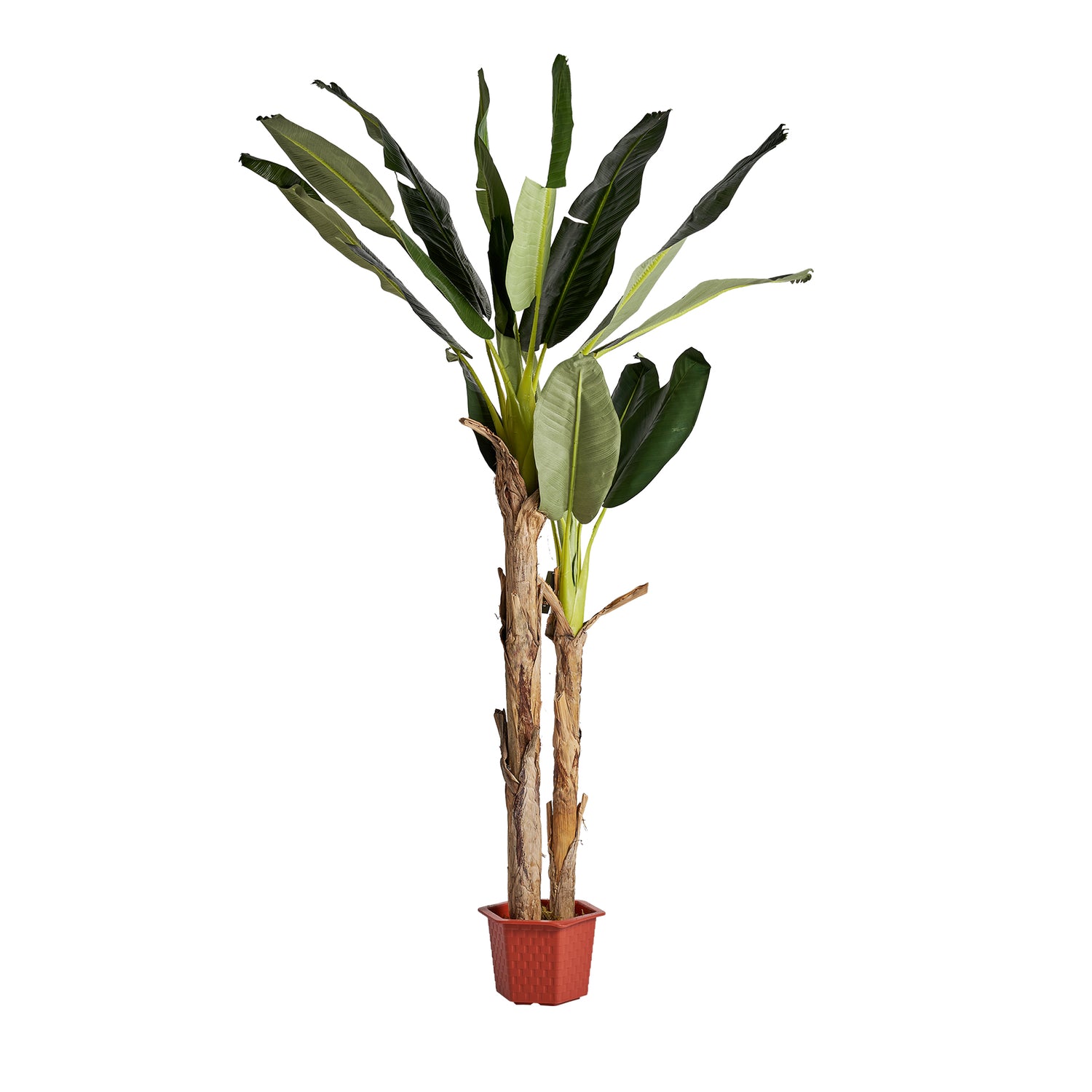 Bananero Kunstplant Shabby Chic 32x32x220 cm