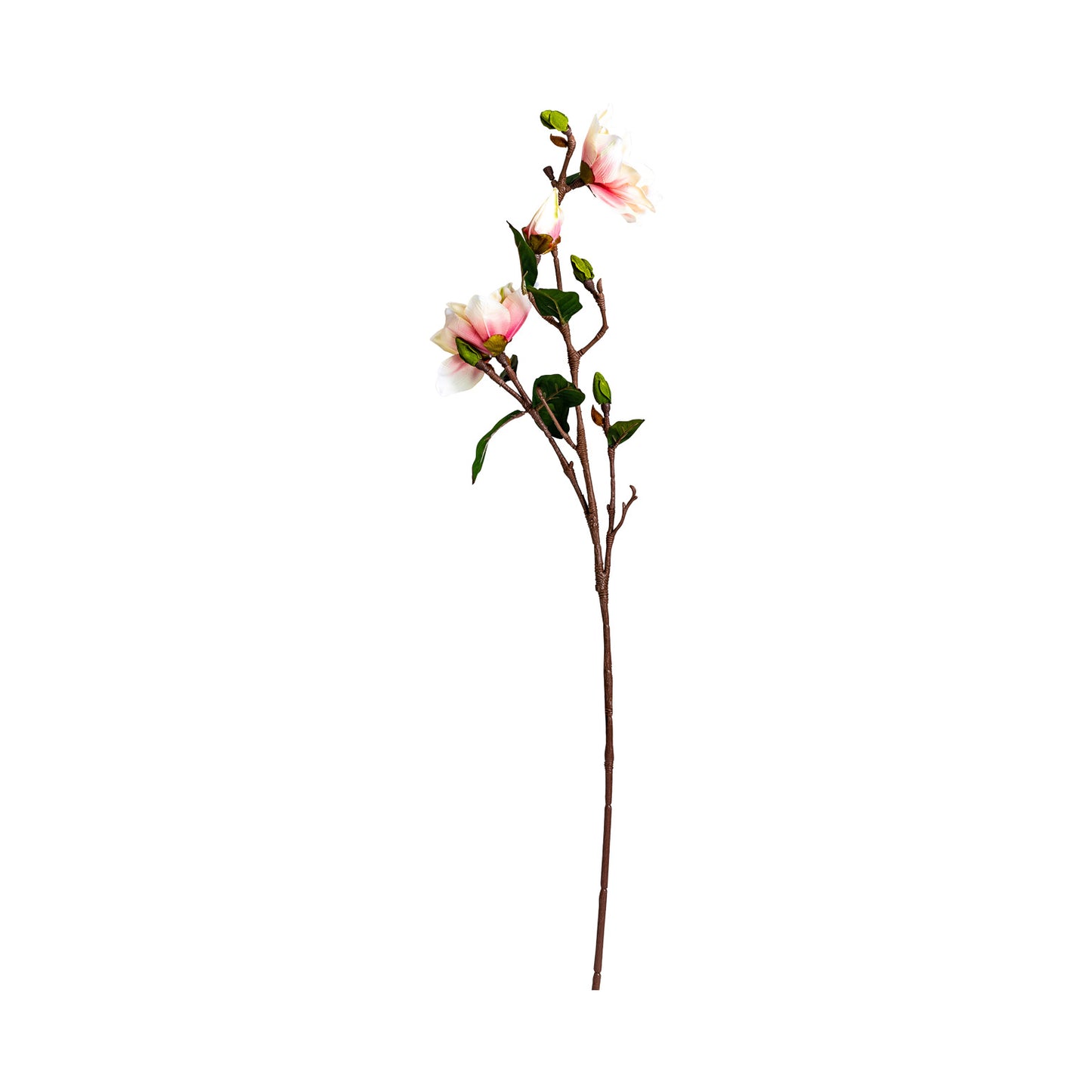 Yulan Bloem 20x20x70 cm