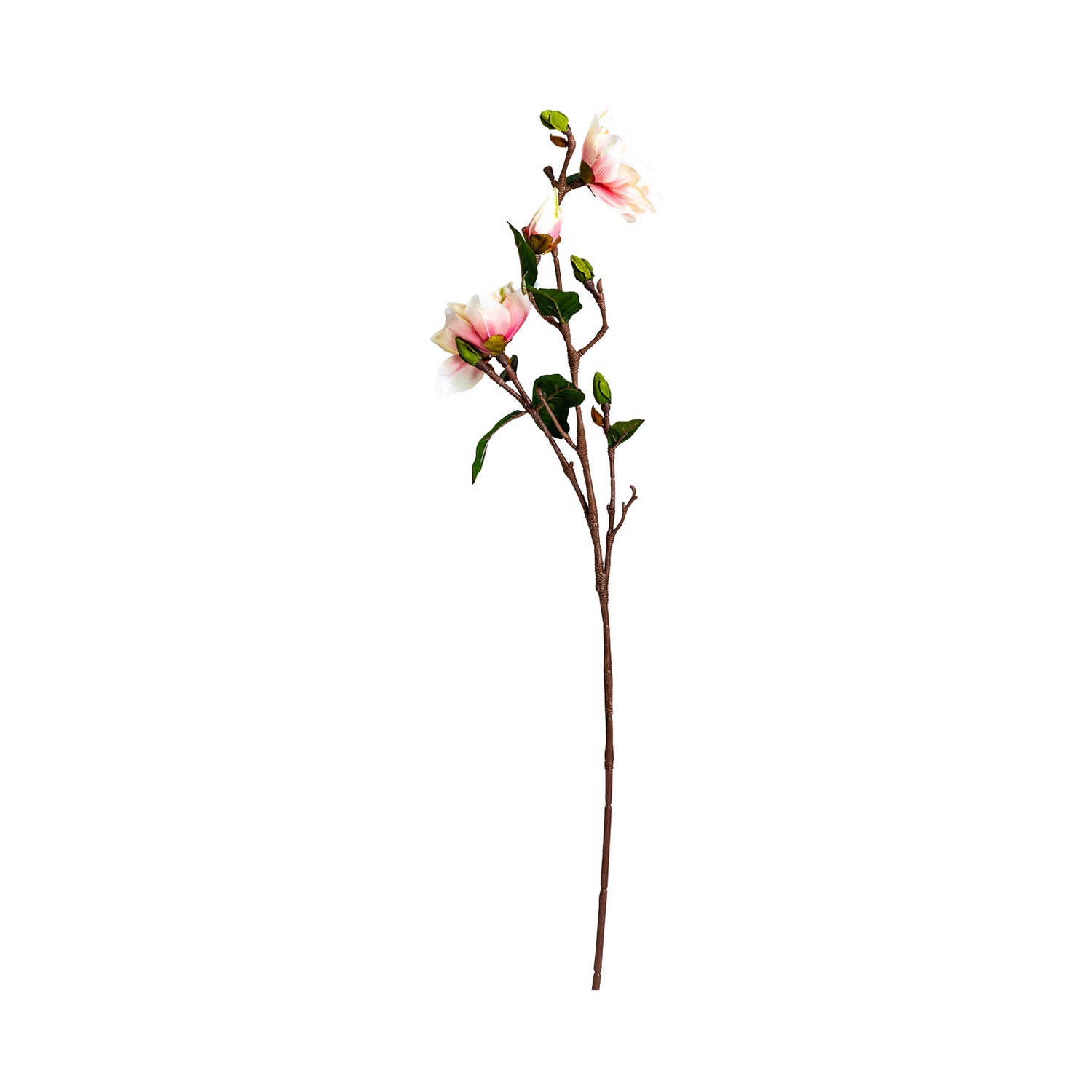 Yulan Bloem 20x20x70 cm