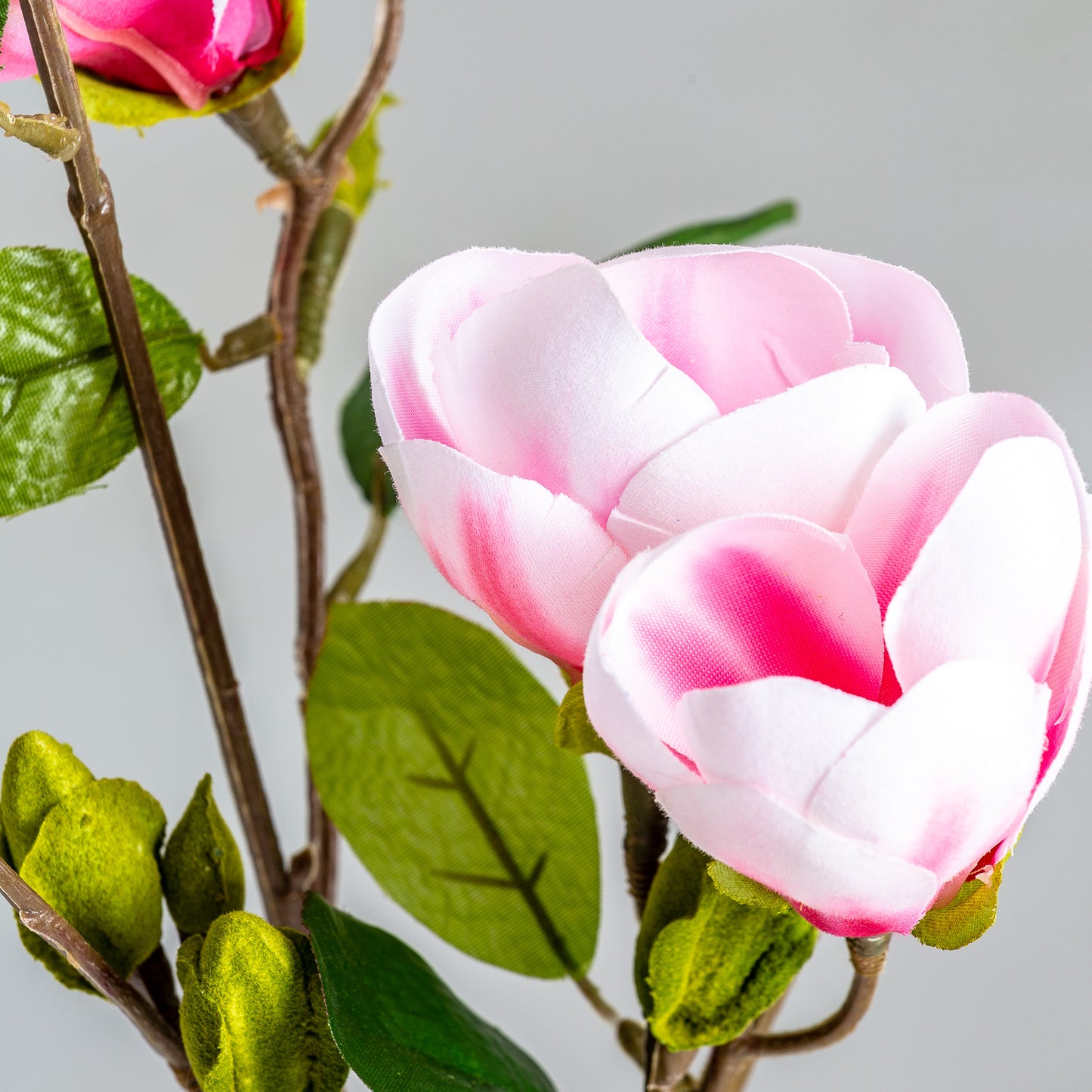 Magnolia Bloem Klassiek Roze 0x0x87 cm