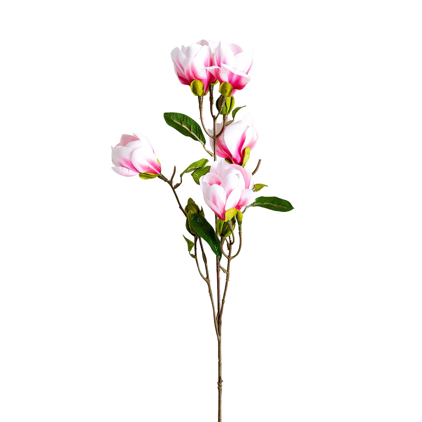 Magnolia Bloem Klassiek Roze 0x0x87 cm