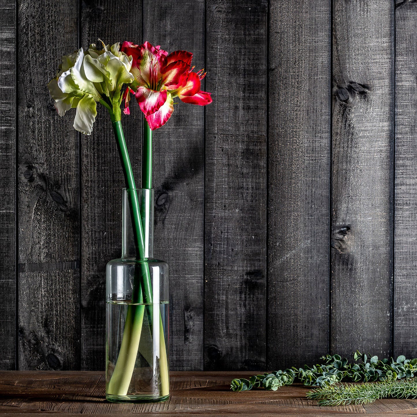 Amaryllis Bloem Wit 0x0x73 cm