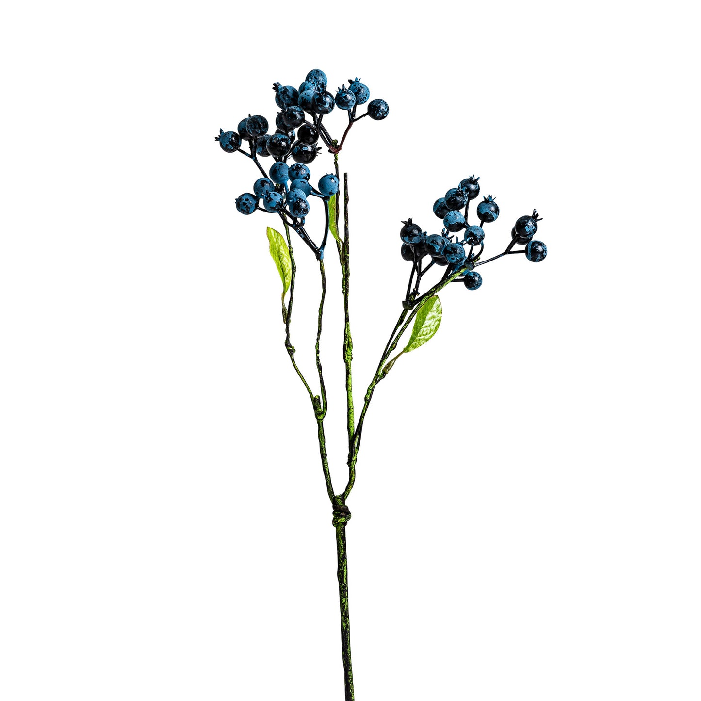 Blauwe Klassieke Decoratieve Plant 0x0x45 cm