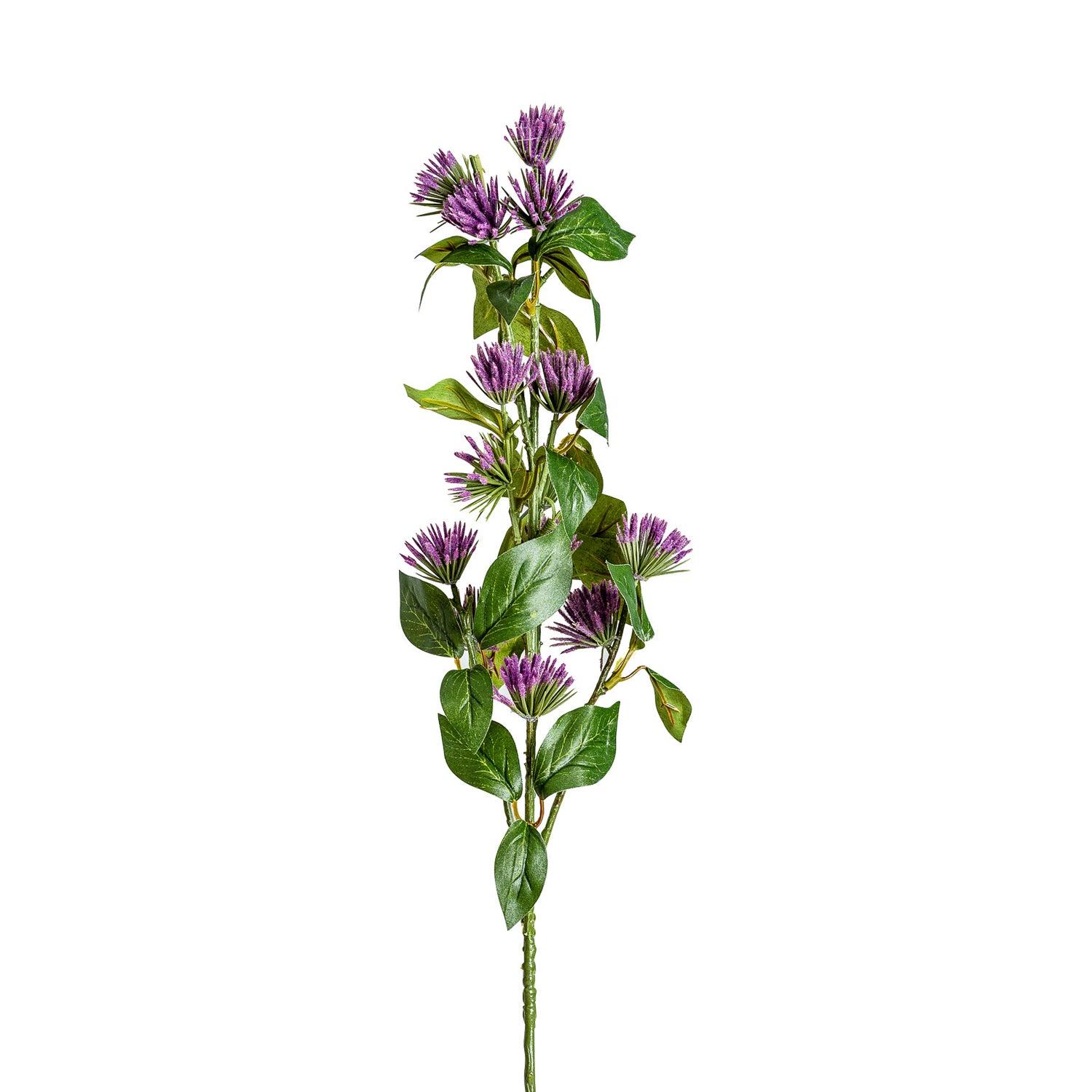 Centaurea Bloem Paars 0x0x68 cm