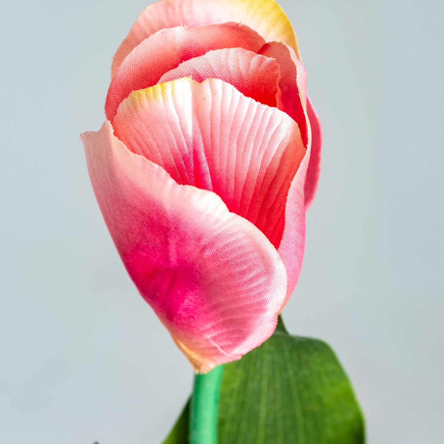 Tulpenbloem Klassiek Roze 0x0x64 cm
