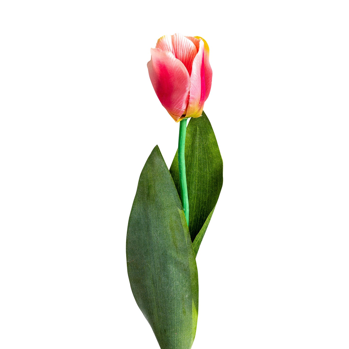 Tulpenbloem Klassiek Roze 0x0x64 cm