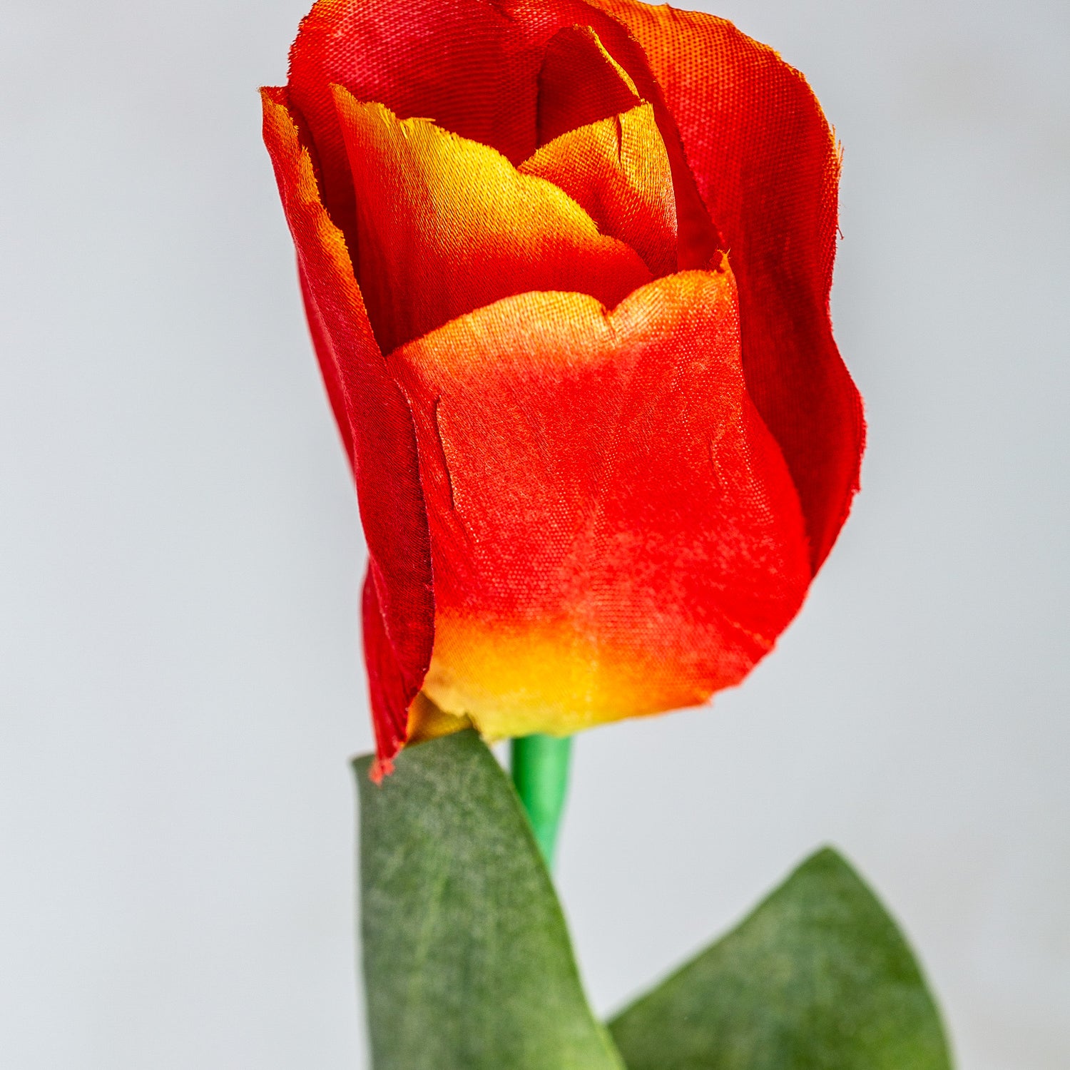 Tulpenbloem Oranje 0x0x64 cm