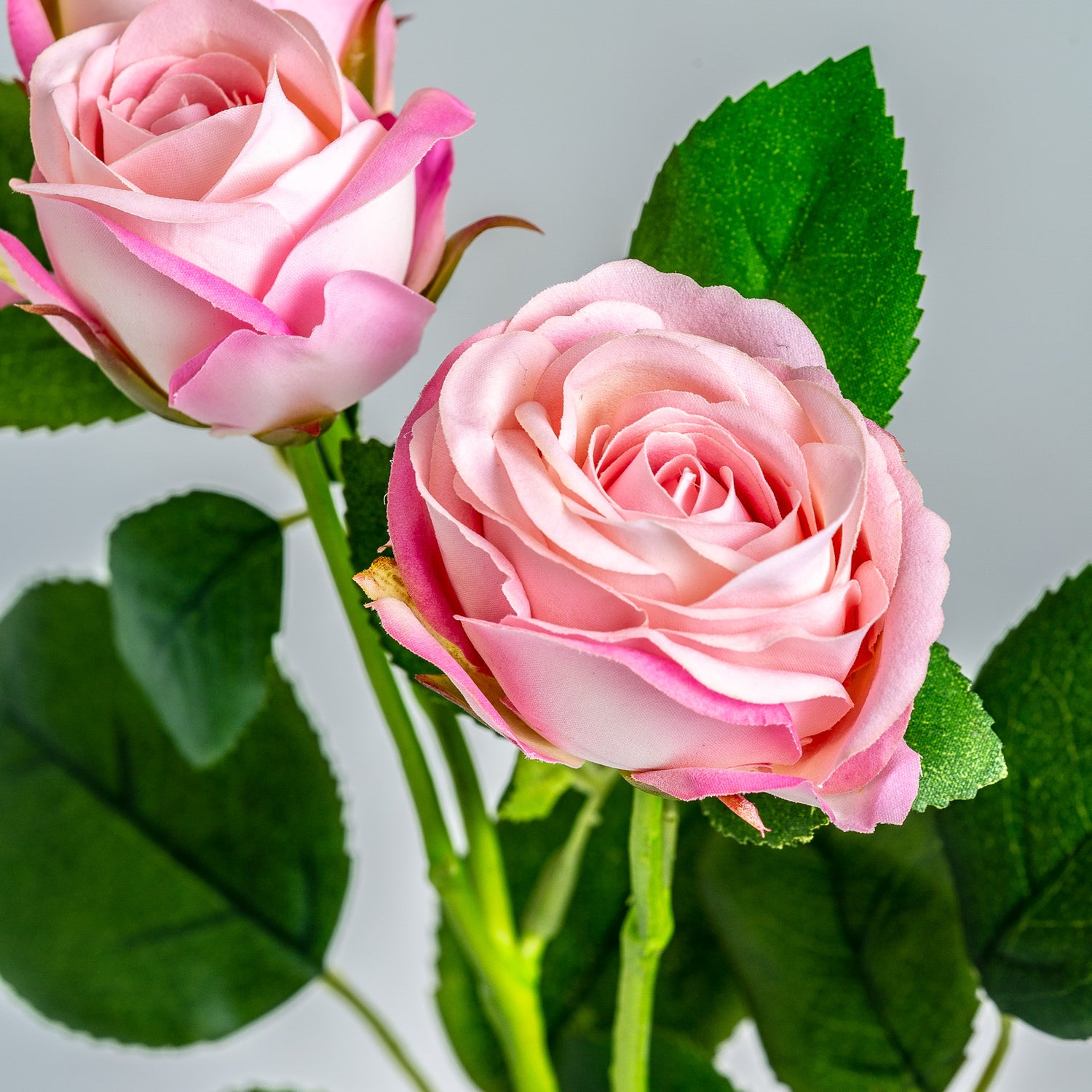 Rosal Kunstplant Roze 1x1x48 cm