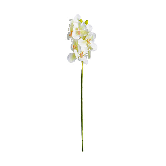Azahar Bloem Wit 1x1x76 cm
