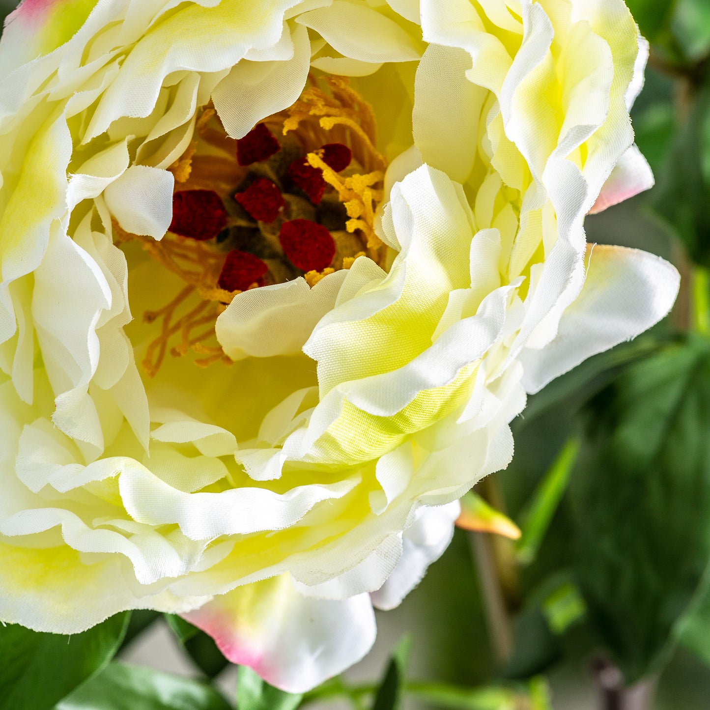 Rosa Bloem Klassiek 0x0x97 cm