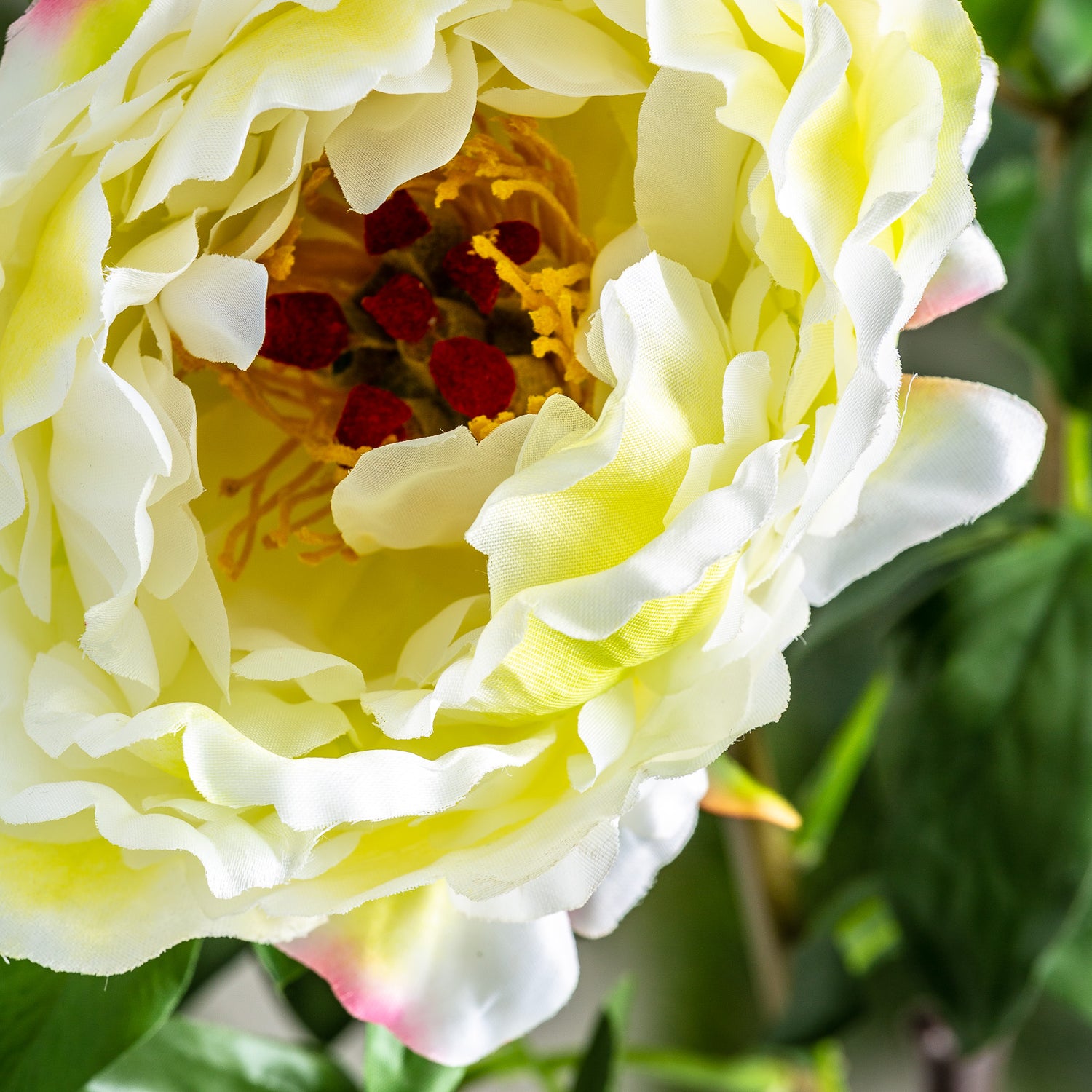 Rosa Bloem Klassiek 0x0x97 cm