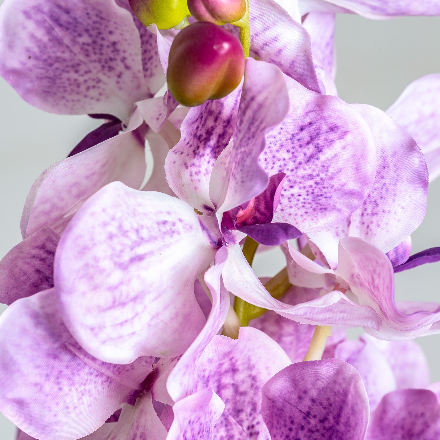 Orchidea Kunstbloem Paars 0x0x76 cm