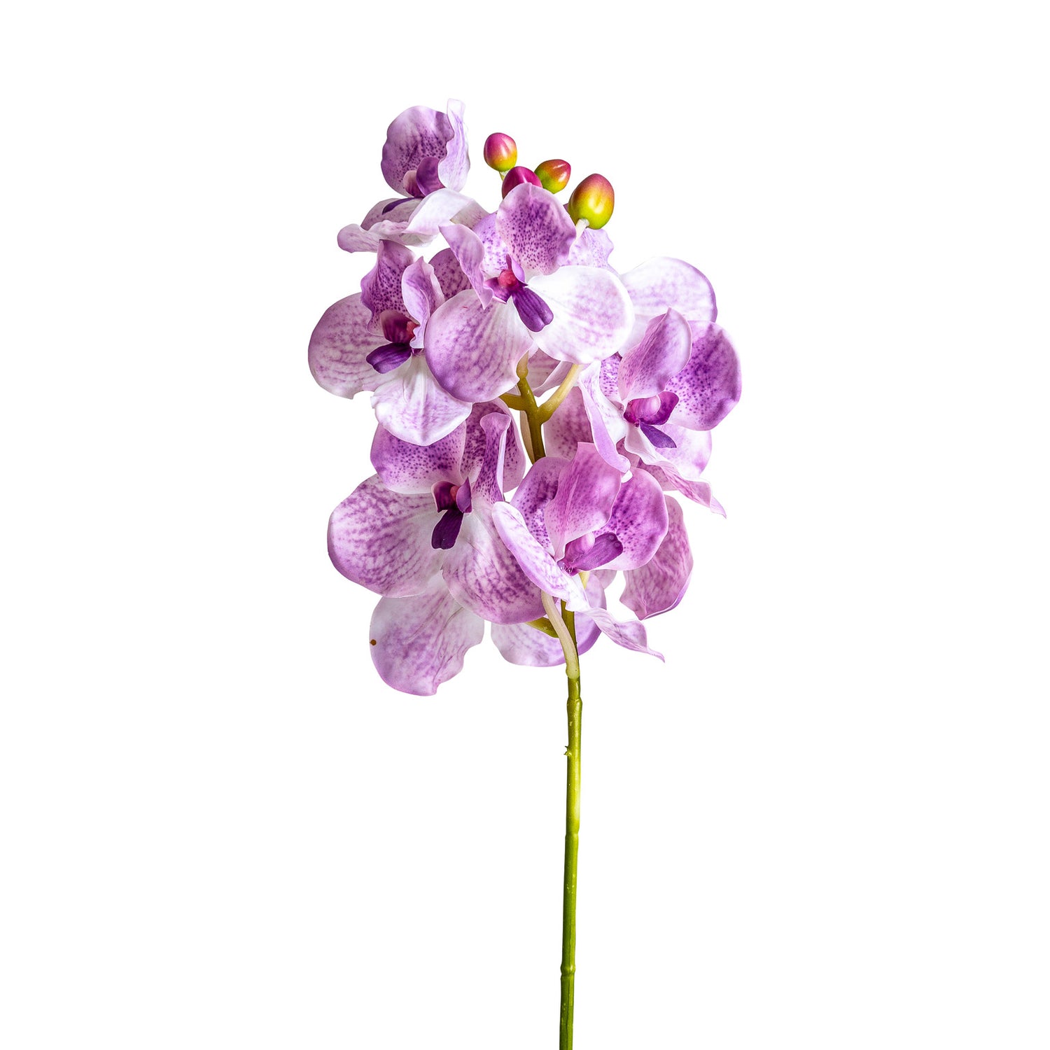 Orchidea Kunstbloem Paars 0x0x76 cm