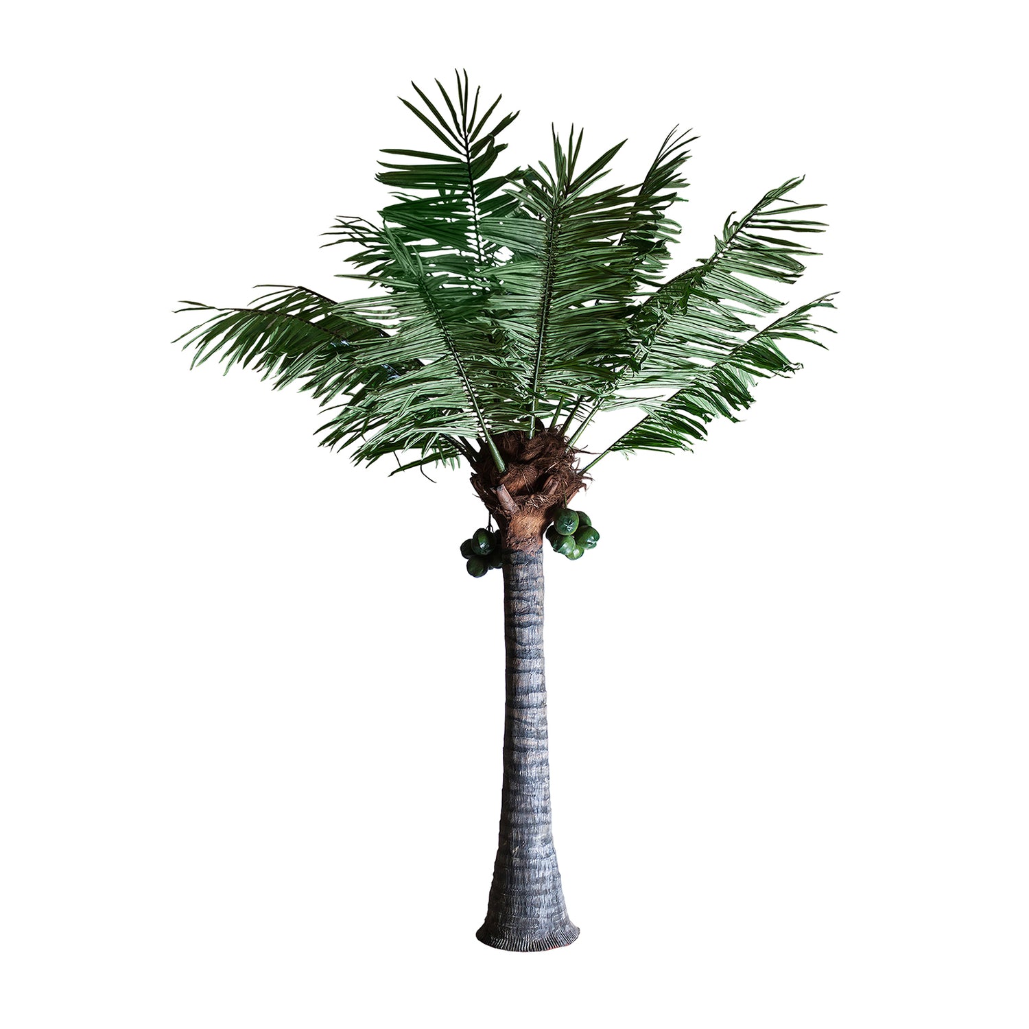 Palmera Plant Etnisch 71x71x550 cm