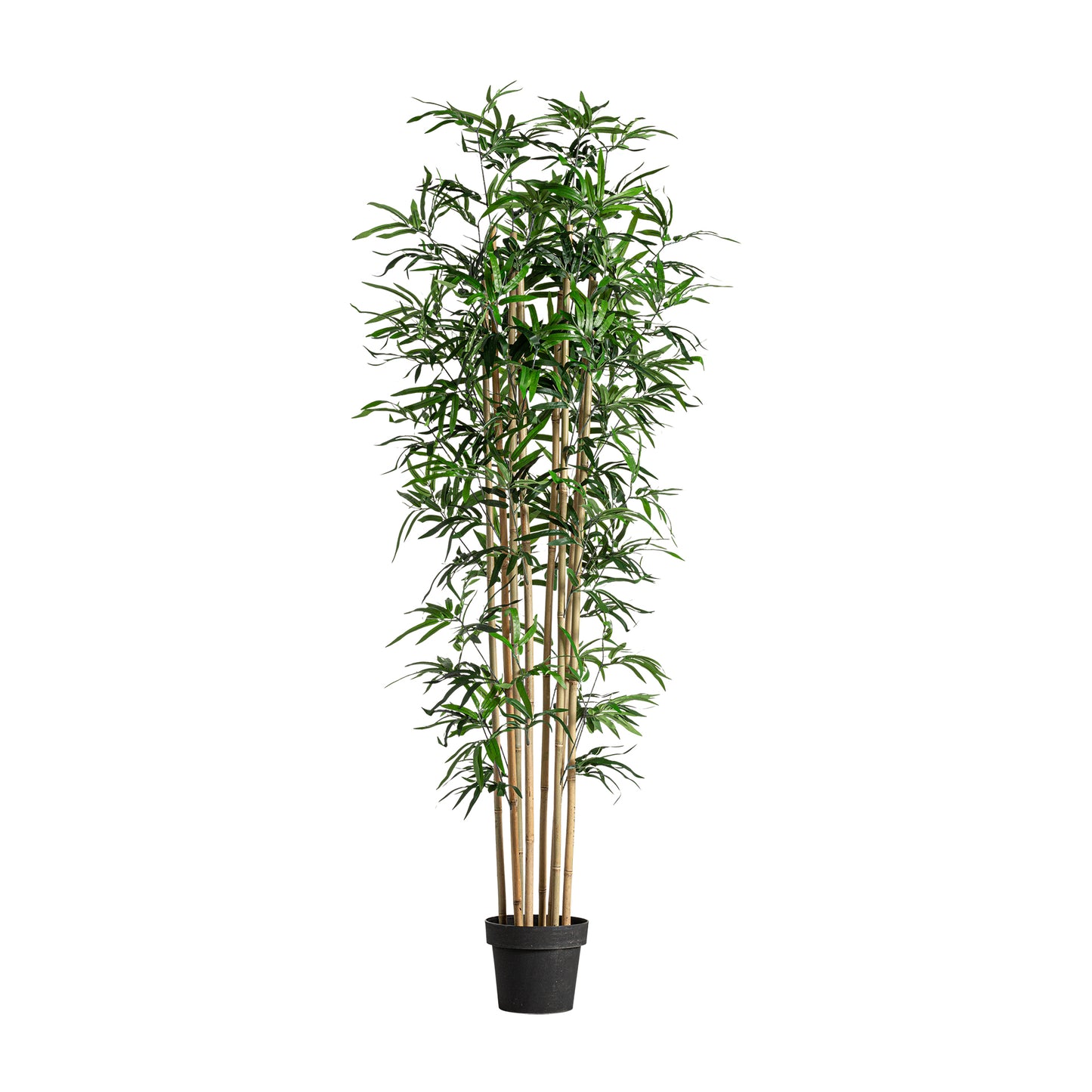 Bamboe Plant Koloniale Stijl 50x50x180 cm