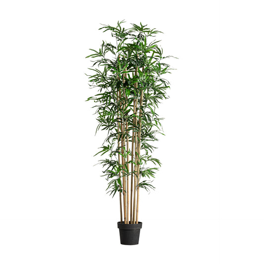 Bamboe Plant Koloniale Stijl 50x50x180 cm