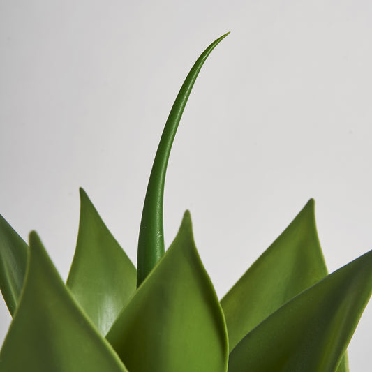 Lotus Plant Koloniale Stijl 26x26x45 cm