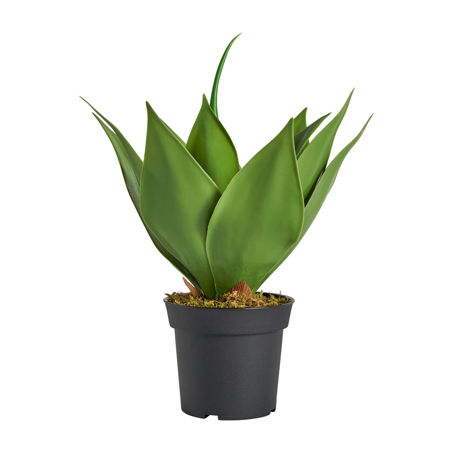 Lotus Plant Koloniale Stijl 26x26x45 cm