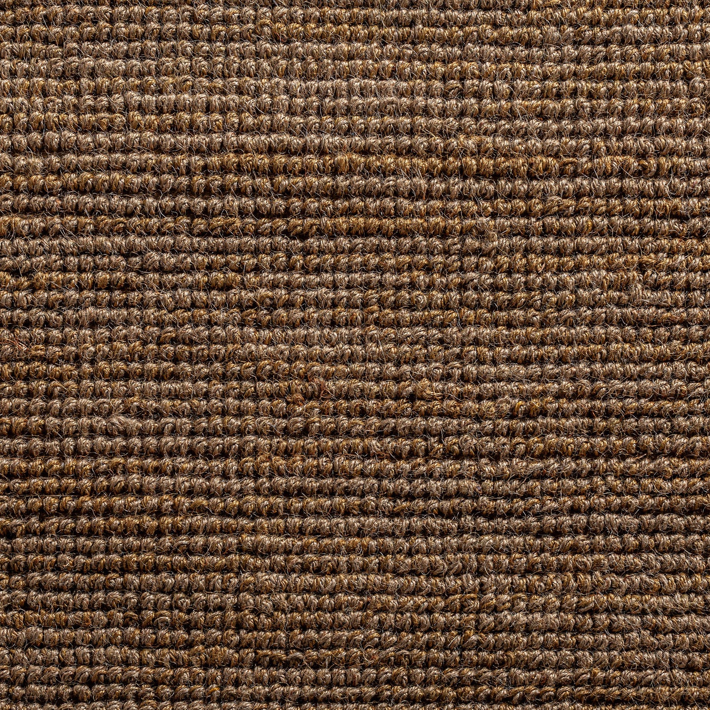Tish Vloerkleed Boho 340x240x1 cm