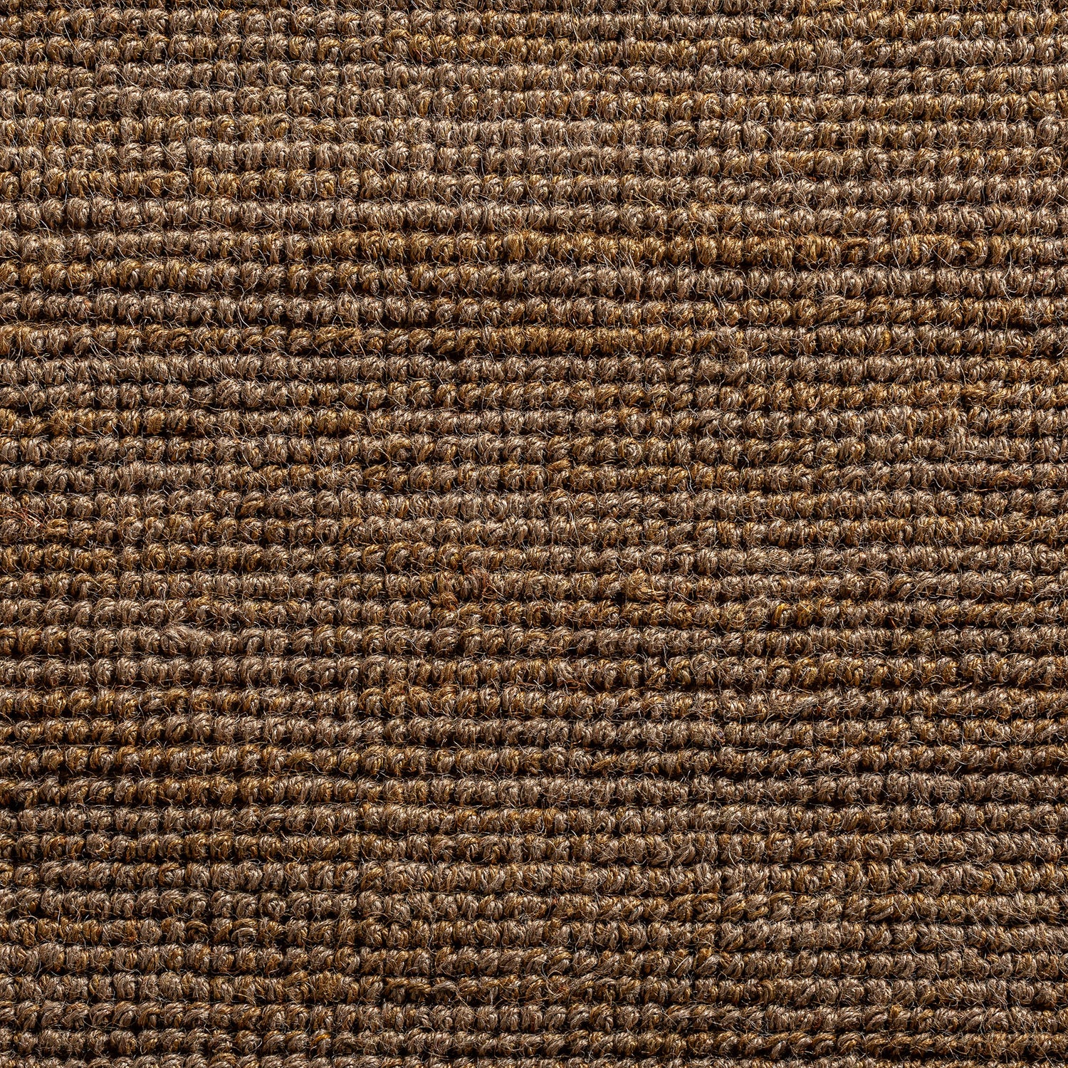 Tish Vloerkleed Boho 340x240x1 cm