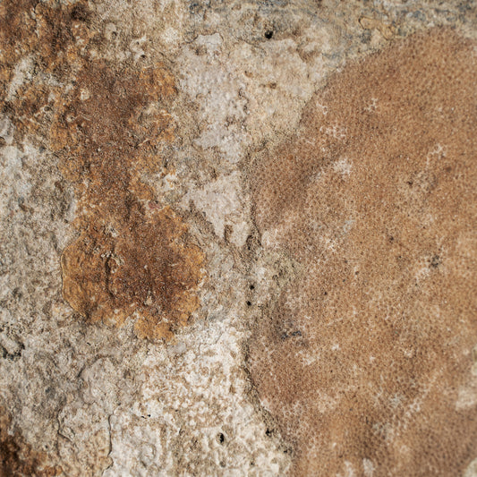 Chedma Decoratief Beeld 20x7x28 cm