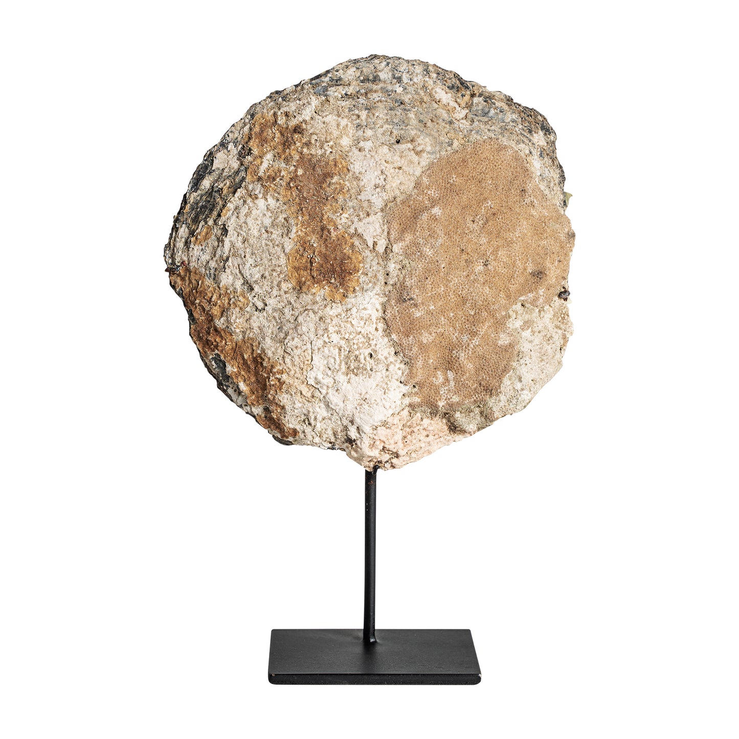 Chedma Decoratief Beeld 20x7x28 cm