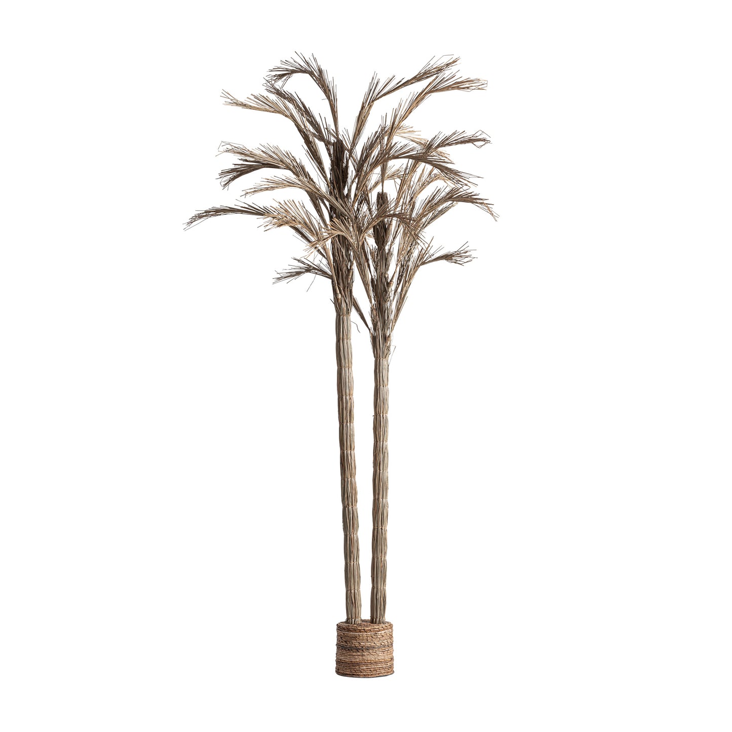 Areca Plant Boho 100x100x250 cm