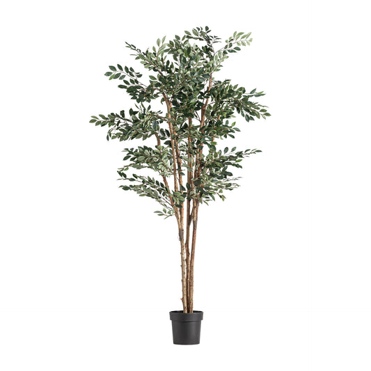 Ficus Plant 90x90x210 cm