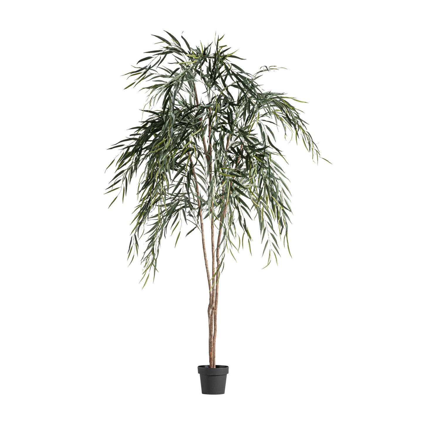 Sauce Plant 120x120x220 cm