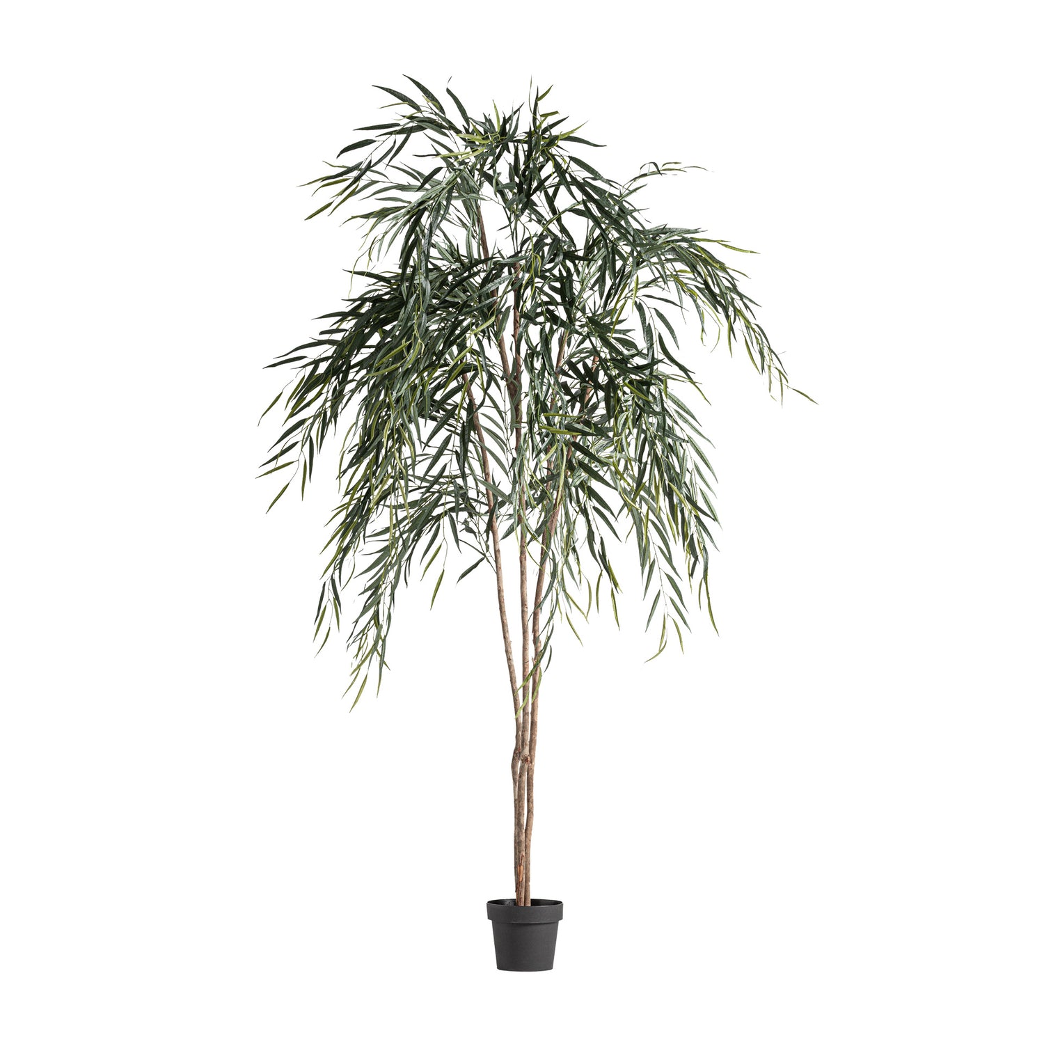 Sauce Plant 120x120x220 cm