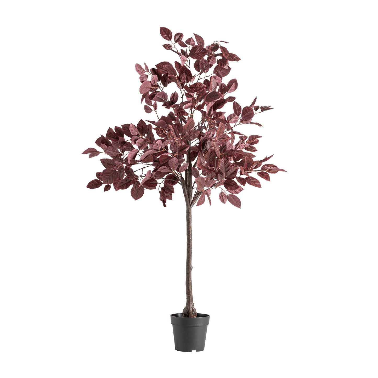 Haya Plant Klassiek 70x70x148 cm