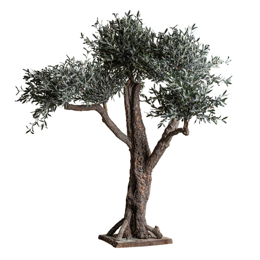 Olivo Plant 120x120x240 cm