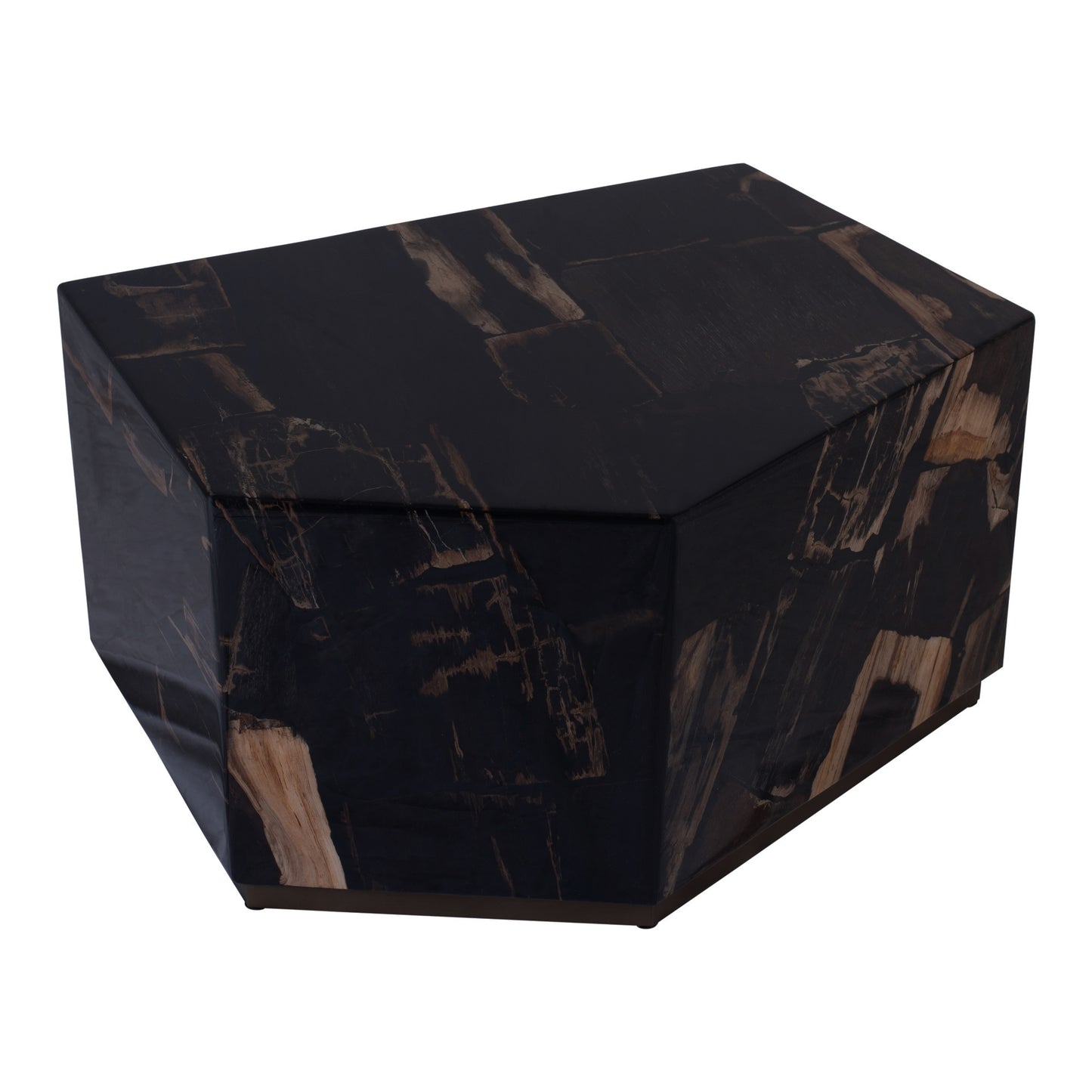 Rayn Petrified Wood Black Coffeetable M